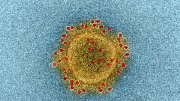 Микрофотография ближневосточного коронавируса