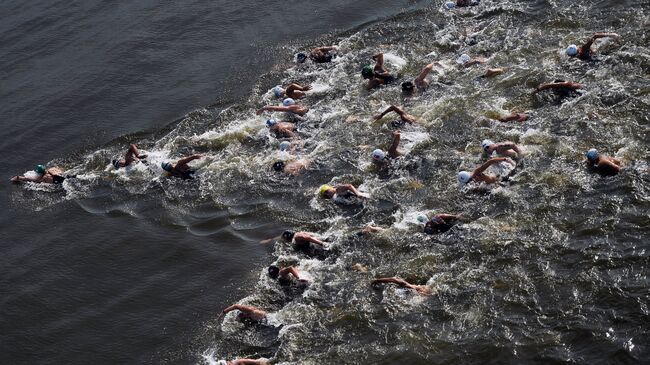 Чемпионат мира FINA 2015. Плавание на открытой воде. Мужчины. 25 км