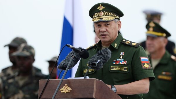 Министр обороны Российской Федерации генерал армии Сергей Шойгу. Архивное фото
