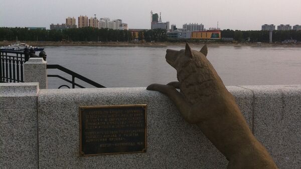 Памятник собаке Дружок на набережной реки Амур в городе Благовещенске