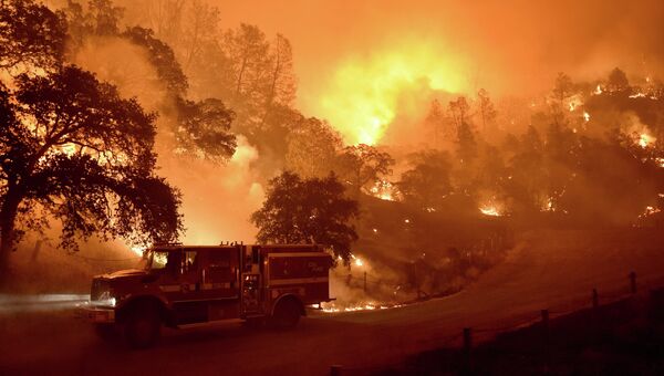 Лесные пожары в США. Архивное фото