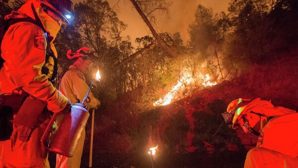 Тушение лесных пожаров в Калифорнии. Архивное фото
