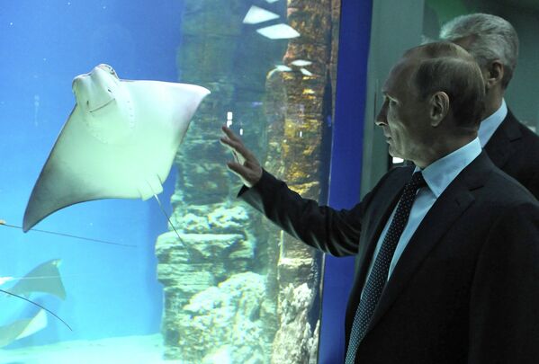 Президент РФ В.Путин посетил центр океанографии и морской биологии Москвариум