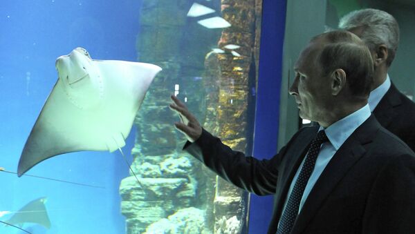 Президент РФ В.Путин посетил центр океанографии и морской биологии Москвариум
