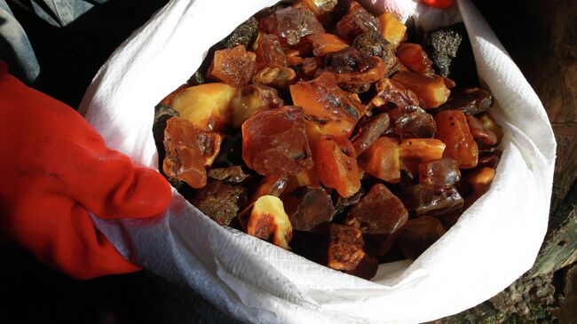 Янтарь. Архивное фото Янтарь. Архивное фото