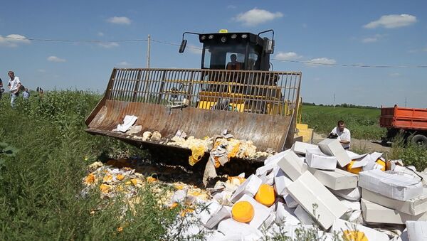 Бульдозер против еды: как уничтожили девять тонн сыра под Белгородом