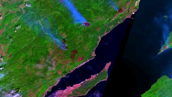 Пожары на западном берегу озера Байкал. Снимок Landsat-8 от 27 июля 2015 г.