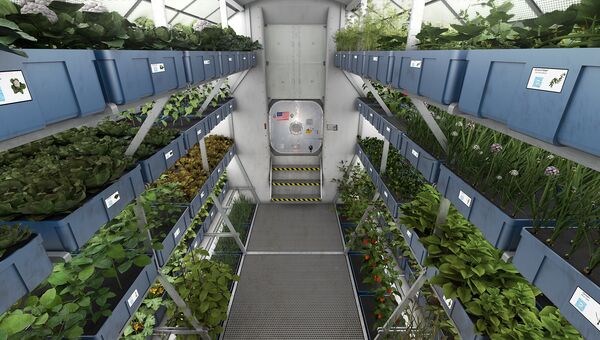 Наземная лаборатория, в которой ученые готовят системы для выращивания растений на пути к Марсу