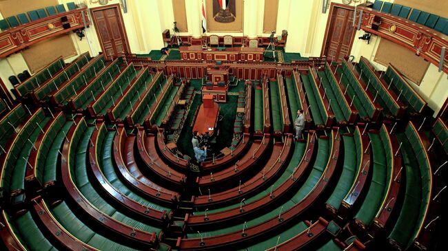 Парламент Египта. Архивное фото
