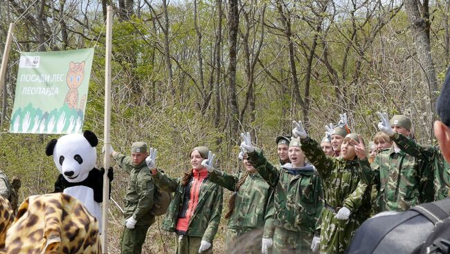 Ежегодные посадки WWF кедра на Амуре. Архивное фото