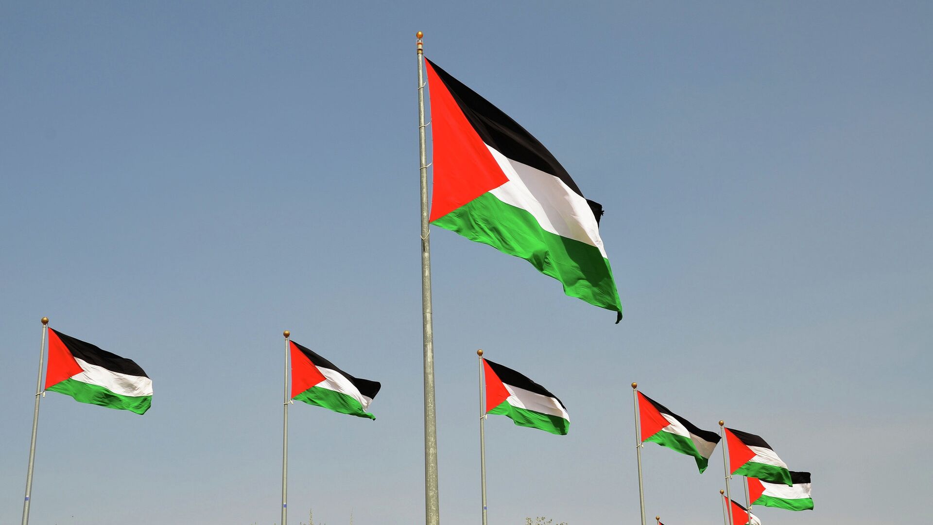 Флаги Палестины - РИА Новости, 1920, 03.07.2022