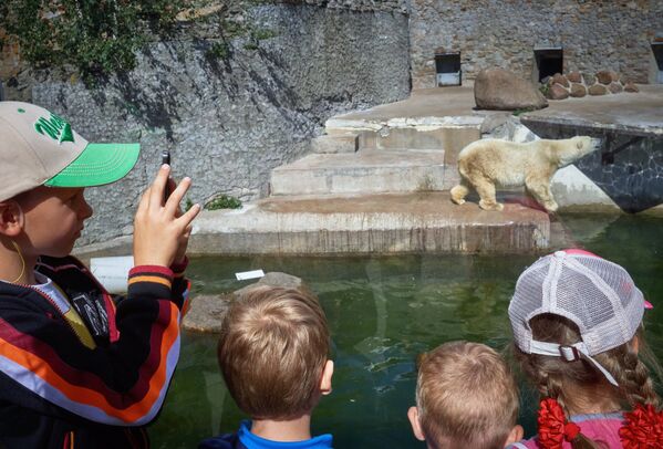Вольер белых медведей в Ленинградском зоопарке