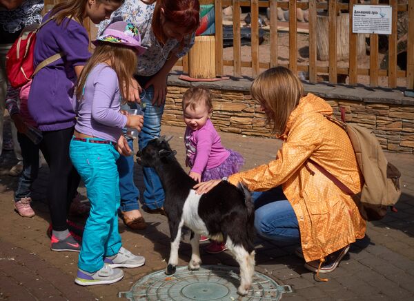 Дети общаются с козочкой в Ленинградском зоопарке