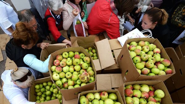 Торжественное освящение 5 тонн яблок