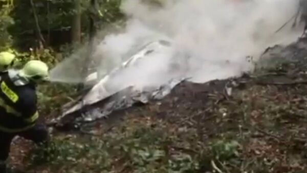 Пожарные тушили догоравшие обломки столкнувшихся самолетов L-410 в Словакии