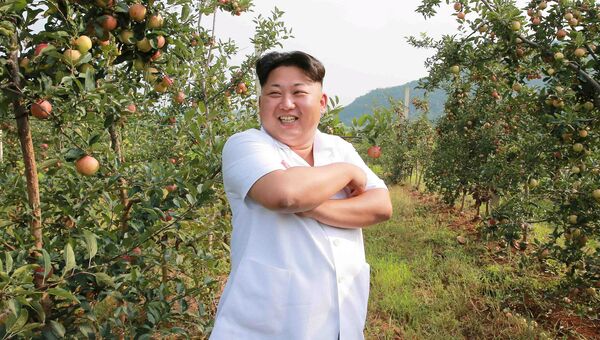 Северокорейский лидер Ким Чен Ын во время посещения Taedonggang Combined Fruit Farm в Пхеньяне