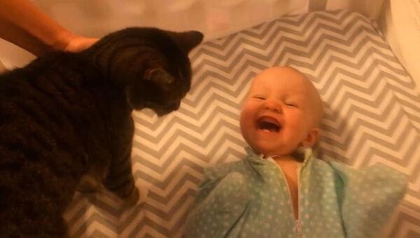Младенец в восторге от кота