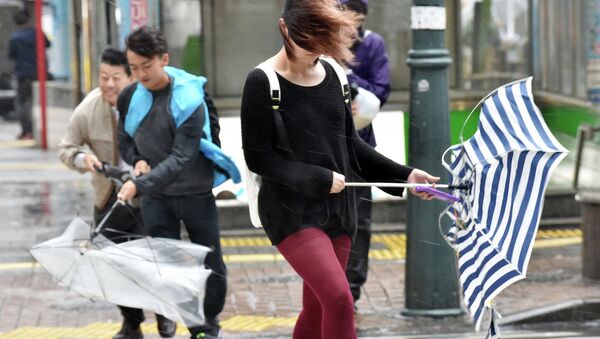 Жители Японии во время Тайфуна