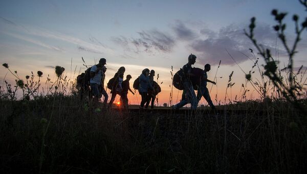 Мигранты на границе Венгрии и Сербии. Август 2015