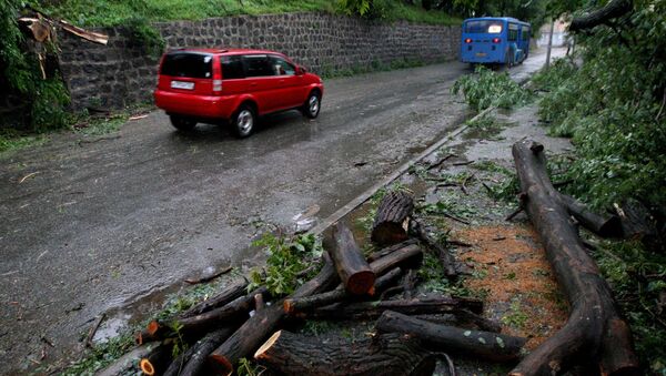 Последствия тайфуна Гони во Владивостоке