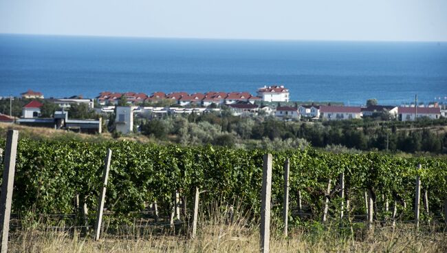 Крым. Коктебель. Архивное фото