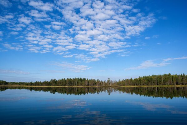Лесное озеро в Республике Карелия