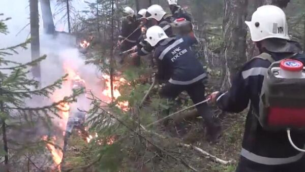 Пожарные заливали водой и засыпали землей очаги возгорания в лесах Бурятии