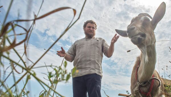 Прежний IT-специалист, фермер Олег Сирота открывает свою собственную сыроварню в деревне Дубровское Московской области