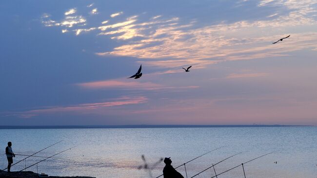 Рыбаки на закате на берегу Черного моря в районе поселка Береговое под Феодосией. Архивное фото