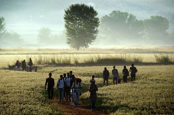 Беженцы идут по полю в сторону границы с Македонией возле деревни Идомени, Греция