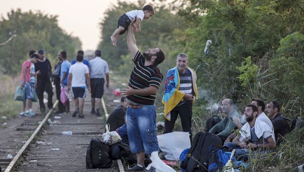 Мигранты на пути из Сербии в Венгрию