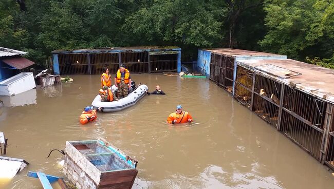 Спасатели по грудь в воде шли до клеток с медведями в зоопарке Уссурийска