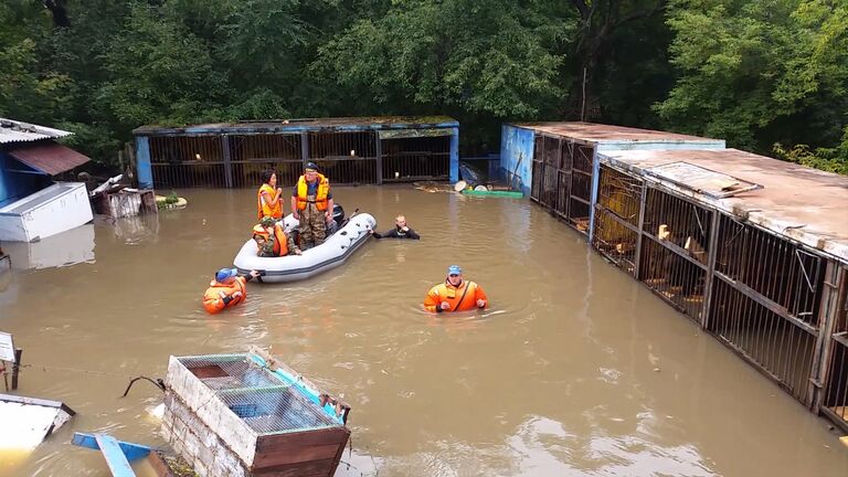 Спасатели по грудь в воде шли до клеток с медведями в зоопарке Уссурийска