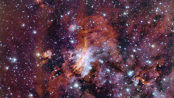 Фотография туманности Креветки в созвездии Скорпиона
