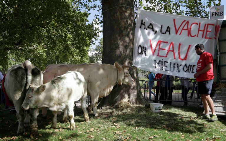 Акция протеста фермеров в Париже