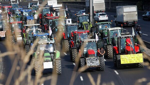 Акция протеста фермеров в Париже. Архивное фото