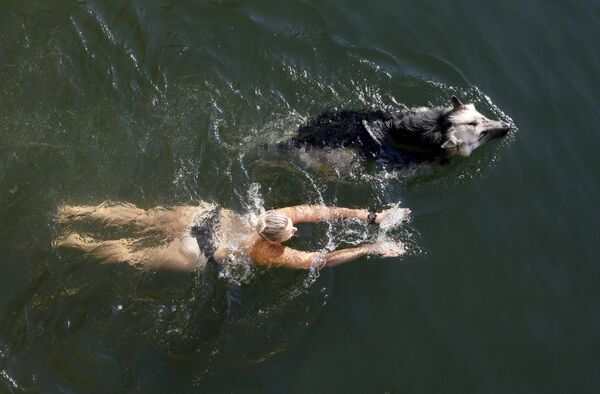 Женщина плывет с собакой в реке Енисей под Красноярском