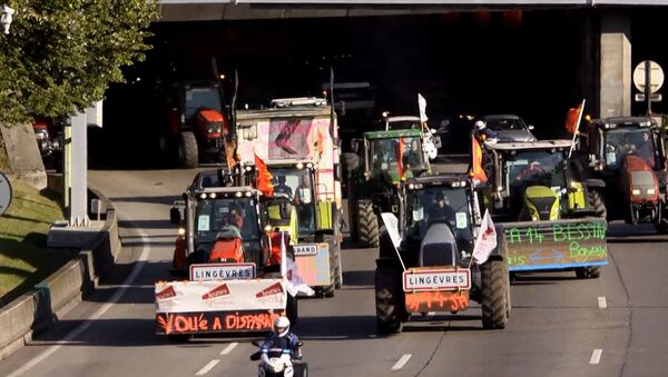 В Париж на 1365 тракторах: как фермеры ехали протестовать в столицу Франции. Архивное фото
