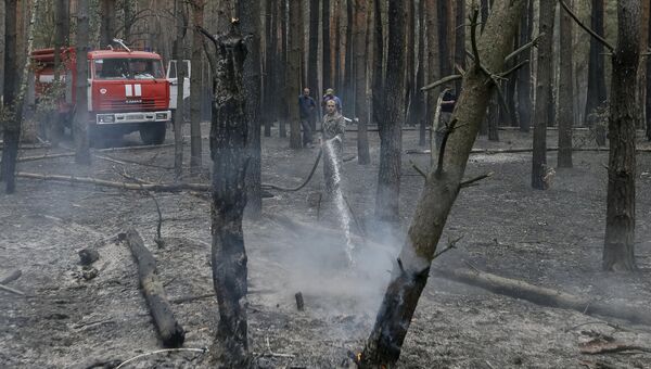 Пожарные тушат лесной пожар под Киевом
