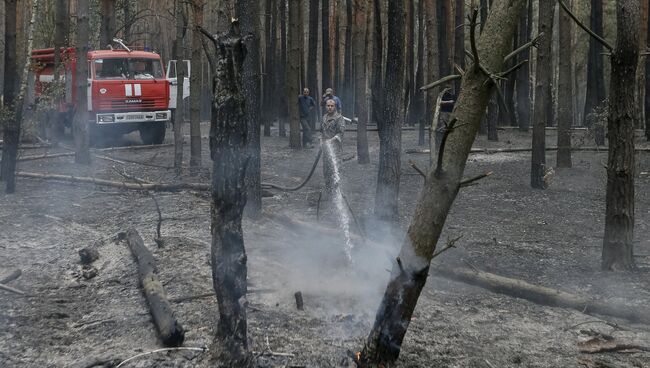 Пожарные тушат лесной пожар под Киевом