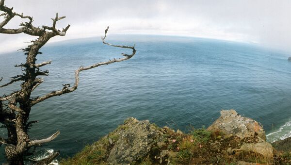 Вид на побережье острова Большой Шантар. Архивное фото