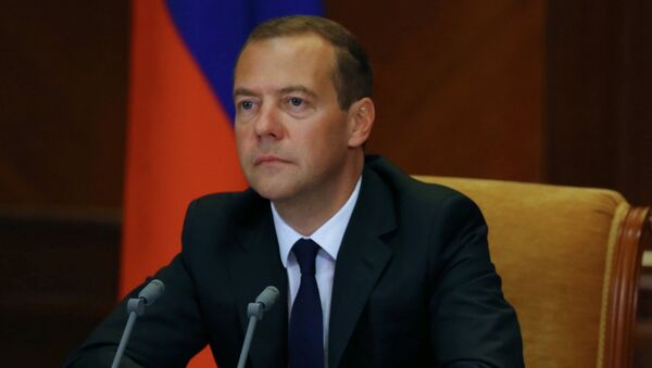 Председатель правительства РФ Дмитрий Медведев . Архивное фото