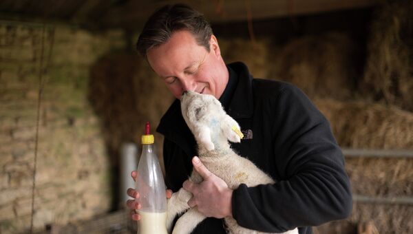 Премьер-министр Великобритании Дэвид Кэмерон кормит ягненка на ферме близ села Чадлингтон
