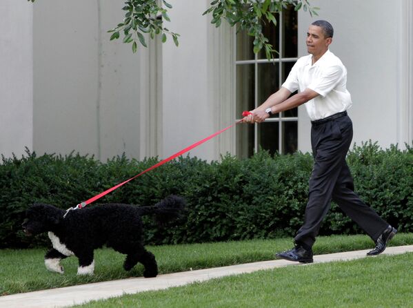 Президент США Барак Обама гуляет с собакой на Южной лужайке Белого дома