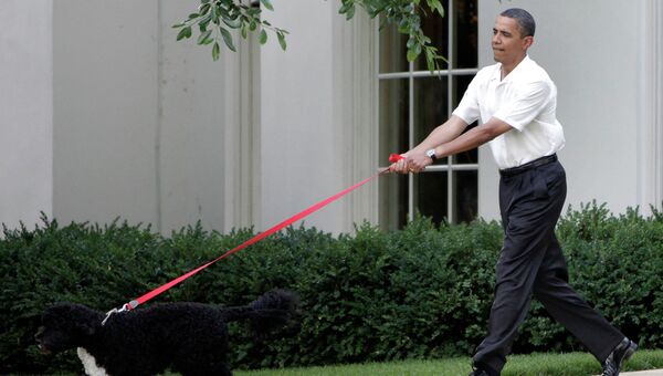 Президент США Барак Обама гуляет с собакой на Южной лужайке Белого дома. Архивное фото