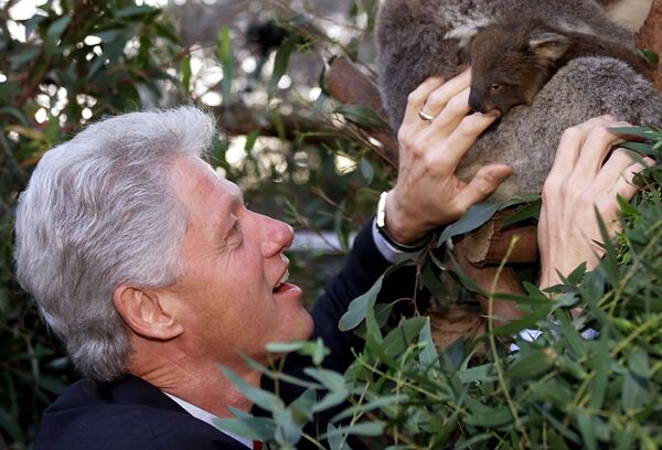 Бывший президент США Билл Клинтон с коалами в мельбурнском зоопарке