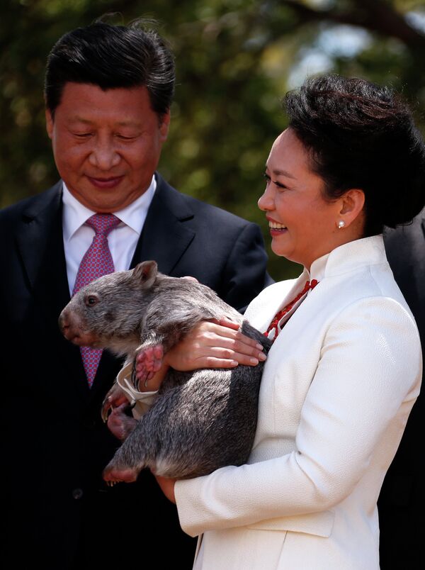 Президент Китая Си Цзиньпин и супруга Пэн Лиюань позируют с вомбатом после посещения саммита G20