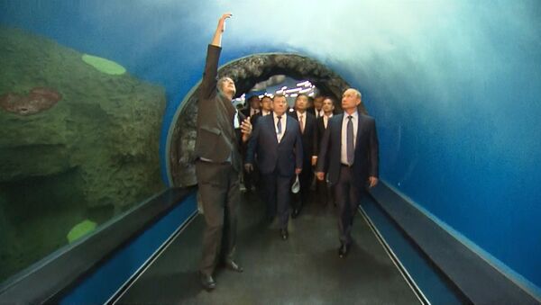 Огромные аквариумы и туннели: Путин осмотрел океанариум на острове Русский