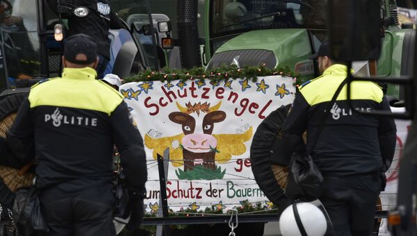 Полицейские и фермеры во время акции протеста в Брюсселе, Бельгия. Архивное фото