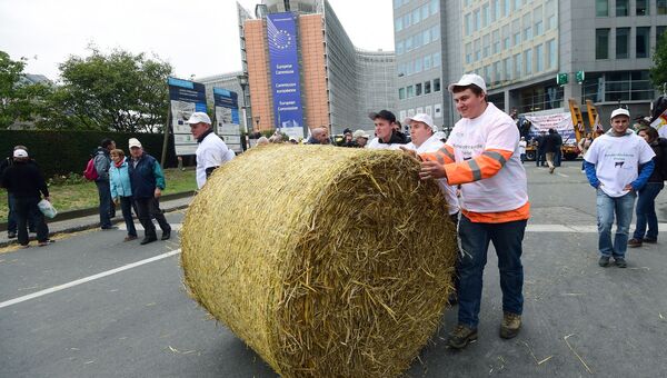 Европейские фермеры во время акции протеста у здания Еврокомиссии в Брюсселе